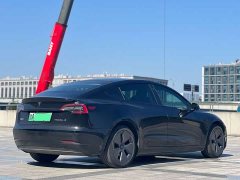 Tesla Model 3 2022 Rear-Wheel Drive - ფოტო 6