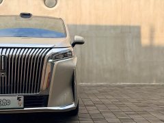 Great Wall WEY Shanshan New Energy Four-Wheel Drive Shanshan 8 - ფოტო 4