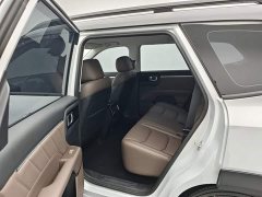 Wuling Starlight 560 New Energy Plug-in Hybrid 125km Luxury - ფოტო 7