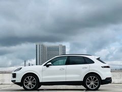 Porsche 2024 Cayenne 3.0T - ფოტო 12