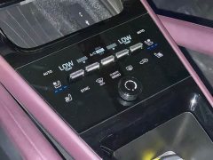 Porsche 2024 Cayenne 3.0T - ფოტო 16