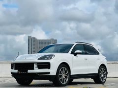Porsche 2024 Cayenne 3.0T - ფოტო 19