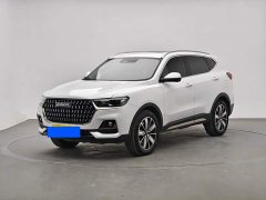 Haval H6 National Trend Edition 1.5T Automatic Champion Version - ფოტო 1