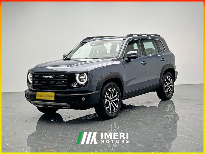 Great Wall Dachshund 2024 1.5T DCT Border Collie Edition - ავტომობილი ჩინეთიდან