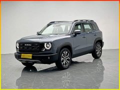 Great Wall Dachshund 2024 1.5T DCT Border Collie Edition - ფოტო 1