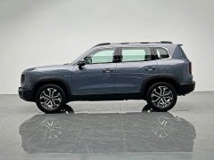 Great Wall Dachshund 2024 1.5T DCT Border Collie Edition - ფოტო 3
