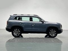 Great Wall Dachshund 2024 1.5T DCT Border Collie Edition - ფოტო 7