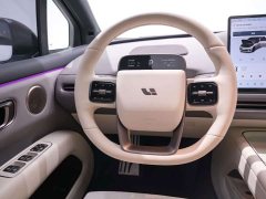 Li Auto i6 Two-Wheel Drive Standard - ფოტო 16
