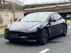 Tesla Model 3 Rear-Wheel Drive - ფოტო 1
