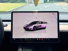 Tesla Model 3 Rear-Wheel Drive - ფოტო 19