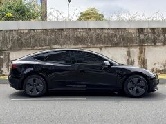Tesla Model 3 Rear-Wheel Drive - ფოტო 8