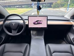 Tesla Model 3 Rear-Wheel Drive - ფოტო 9