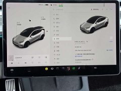 Tesla Model Y Standard Range RWD - ფოტო 15
