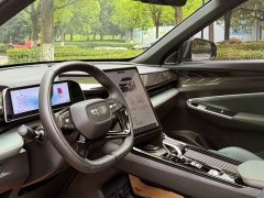 Geely Boyue 1.5TD Smart Connected Plus - ფოტო 14