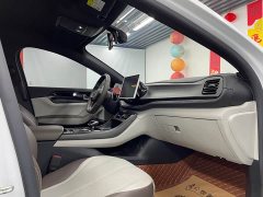 BYD Qin PLUS Glory Edition DM-i 55KM Leading - фото 20