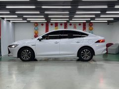 BYD Qin PLUS Glory Edition DM-i 55KM Leading - фото 4