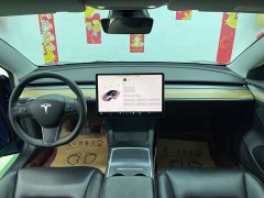Tesla Model 3 2021 Standard Range RWD Upgrade 3D6 - ფოტო 10