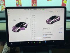 Tesla Model 3 2021 Standard Range RWD Upgrade 3D6 - ფოტო 13