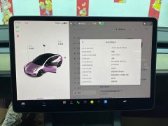 Tesla Model 3 2021 Standard Range RWD Upgrade 3D6 - ფოტო 14