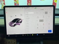 Tesla Model 3 2021 Standard Range RWD Upgrade 3D6 - ფოტო 15
