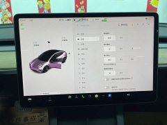 Tesla Model 3 2021 Standard Range RWD Upgrade 3D6 - ფოტო 16