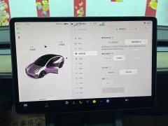 Tesla Model 3 2021 Standard Range RWD Upgrade 3D6 - ფოტო 18