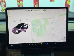 Tesla Model 3 2021 Standard Range RWD Upgrade 3D6 - ფოტო 19