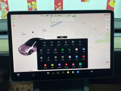 Tesla Model 3 2021 Standard Range RWD Upgrade 3D6 - ფოტო 20
