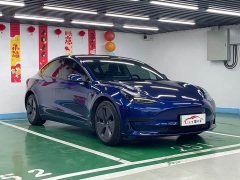 Tesla Model 3 2021 Standard Range RWD Upgrade 3D6 - ფოტო 3