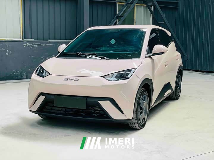 BYD Seagull 305km Vitality Edition - ავტომობილი ჩინეთიდან