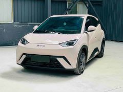 BYD Seagull 305km Vitality Edition - ფოტო 1