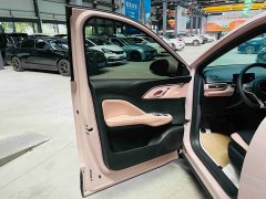 BYD Seagull 305km Vitality Edition - ფოტო 14