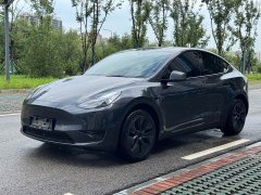Tesla Model Y Rear-Wheel Drive - ფოტო 1