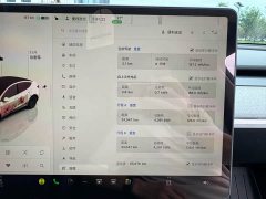 Tesla Model Y Rear-Wheel Drive - ფოტო 12