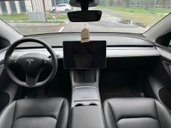 Tesla Model Y Rear-Wheel Drive - ფოტო 16