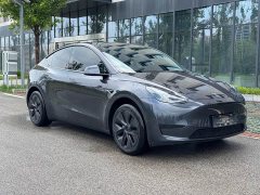 Tesla Model Y Rear-Wheel Drive - ფოტო 3