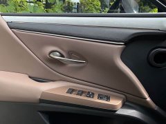 Lexus ES 300h Premium Edition - ფოტო 13