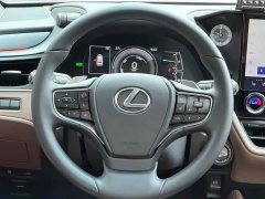 Lexus ES 300h Premium Edition - ფოტო 8