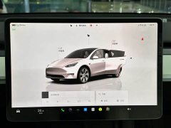 Tesla Model Y 2022 Facelift Rear-Wheel Drive - ფოტო 12