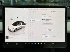 Tesla Model Y 2022 Facelift Rear-Wheel Drive - ფოტო 14