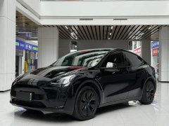 Tesla Model Y Rear-Wheel Drive - ფოტო 1