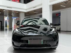 Tesla Model Y Rear-Wheel Drive - ფოტო 2