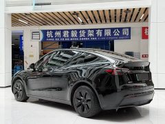 Tesla Model Y Rear-Wheel Drive - ფოტო 3