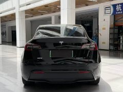 Tesla Model Y Rear-Wheel Drive - ფოტო 4