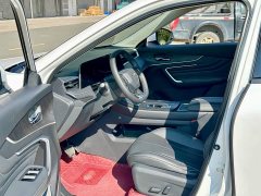 Nissan Arrizo DaV DD-i 2023 60km iD Comfort Edition - ფოტო 5