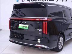 Great Wall WEY Shanshan New Energy 2025 Four-Wheel Drive Shanshan 8 - ფოტო 8