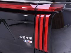Great Wall WEY Shanshan New Energy 2025 Four-Wheel Drive Shanshan 8 - ფოტო 9