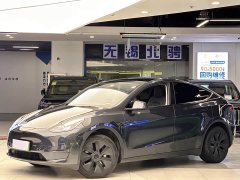 Tesla Model Y Long Range All-Wheel Drive - ფოტო 1