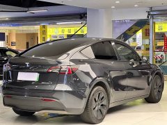 Tesla Model Y Long Range All-Wheel Drive - ფოტო 3