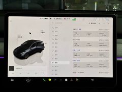 Tesla Model Y Long Range All-Wheel Drive - ფოტო 9